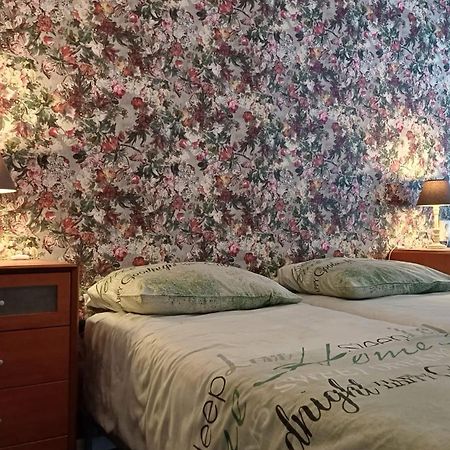 Haus Stefanie Elvire Apartment Алтенберг Източен Ерцгебирге Екстериор снимка