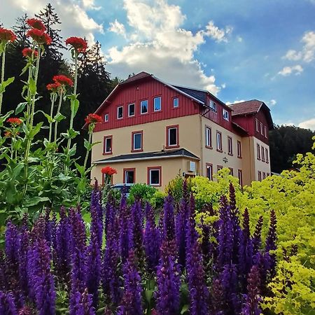 Haus Stefanie Elvire Apartment Алтенберг Източен Ерцгебирге Екстериор снимка