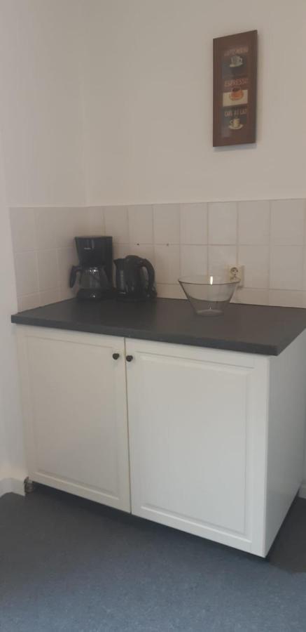 Haus Stefanie Elvire Apartment Алтенберг Източен Ерцгебирге Екстериор снимка