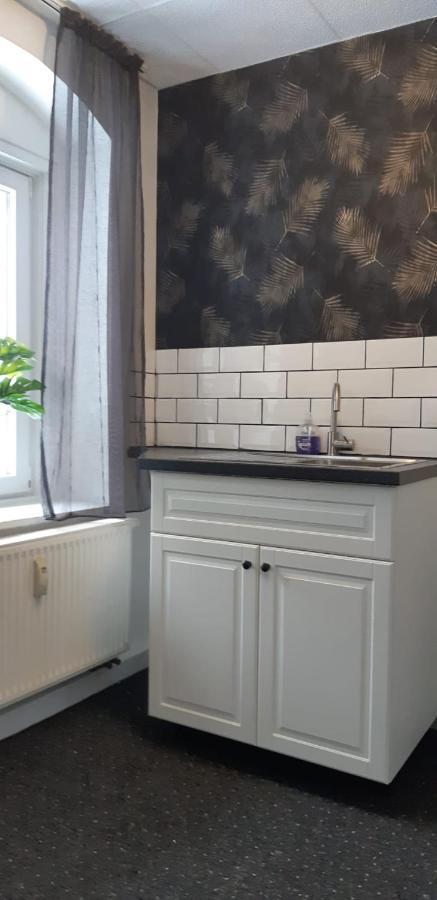Haus Stefanie Elvire Apartment Алтенберг Източен Ерцгебирге Екстериор снимка