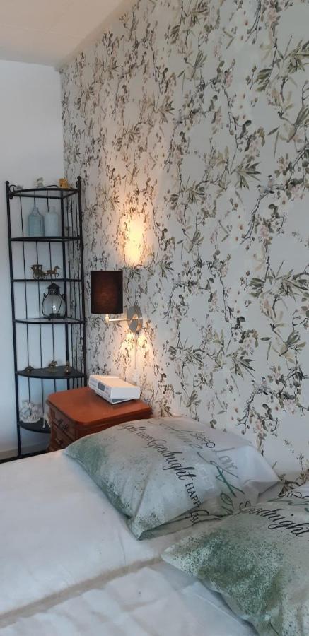 Haus Stefanie Elvire Apartment Алтенберг Източен Ерцгебирге Екстериор снимка
