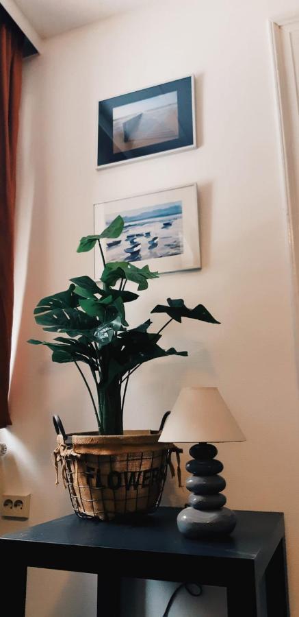 Haus Stefanie Elvire Apartment Алтенберг Източен Ерцгебирге Екстериор снимка
